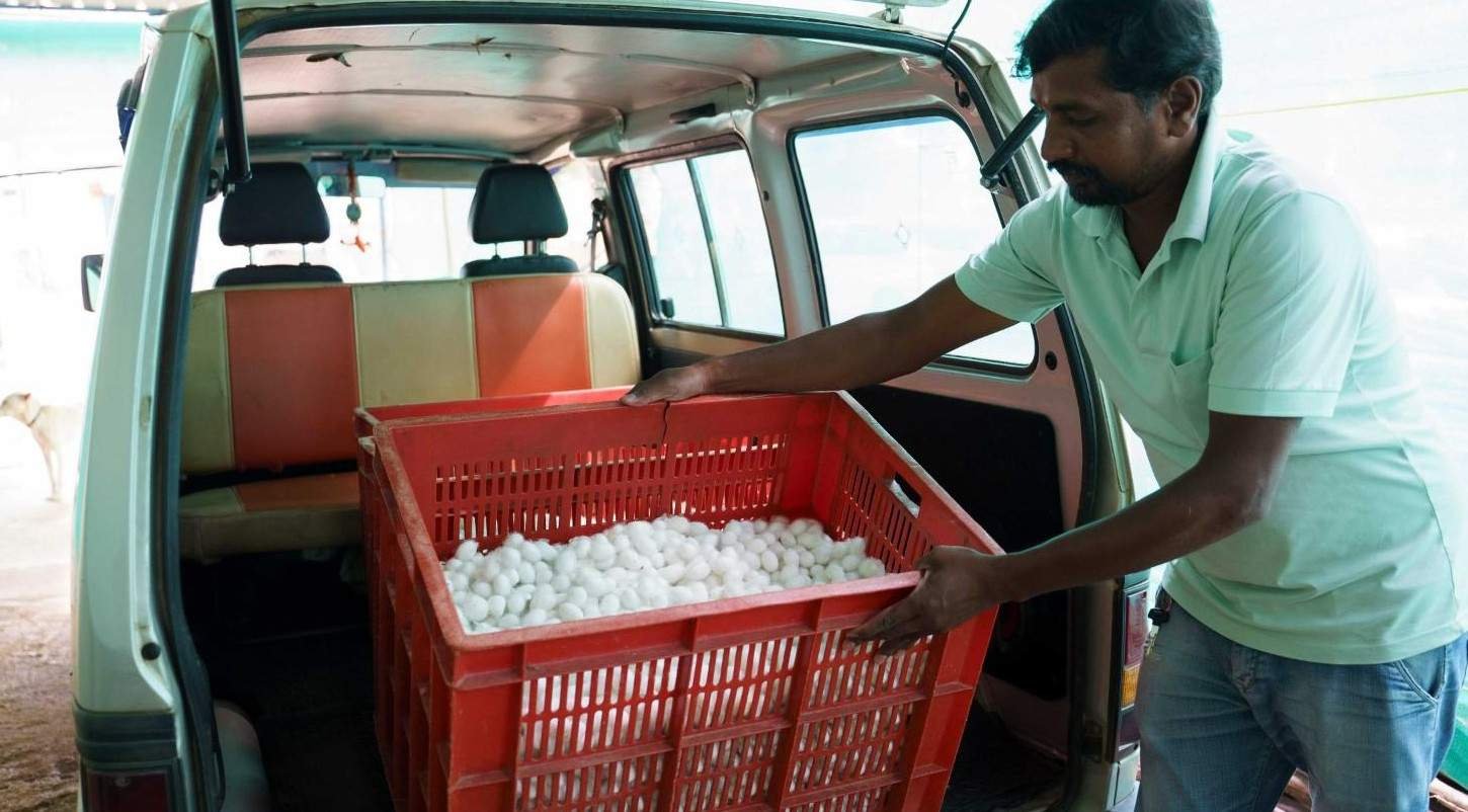 VSSPC Cocoon Purchase