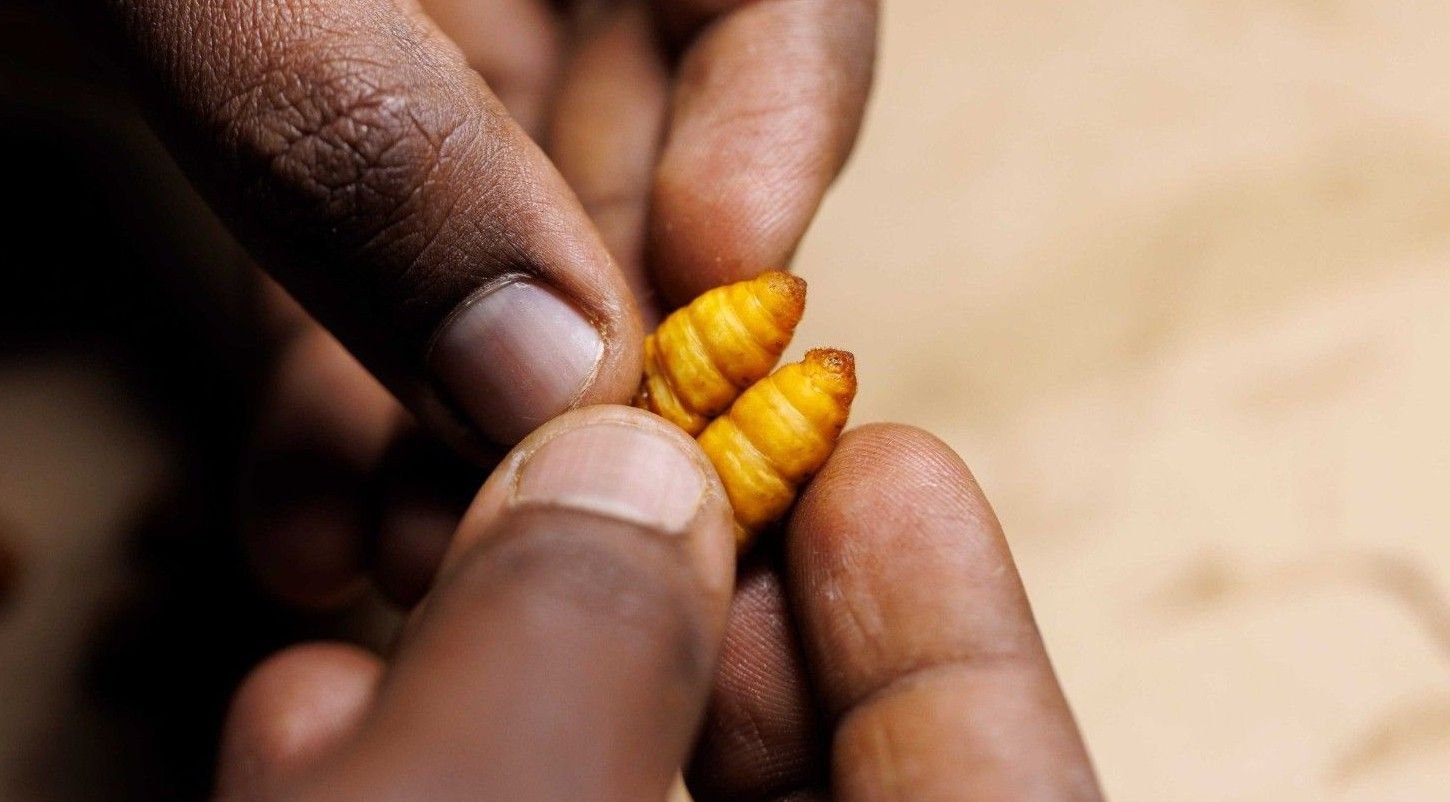 VSSPC Sex Separation