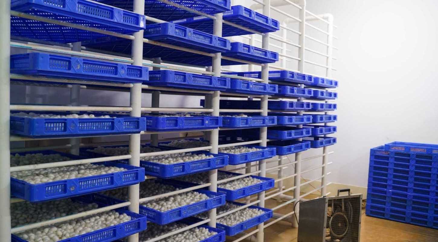 VSSPC Storage Seperation